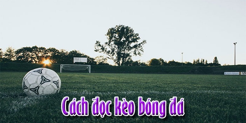 789BET_Bí Quyết Nhận Định Kèo Nhà Cái Mới Nhất Cho Tân Thủ