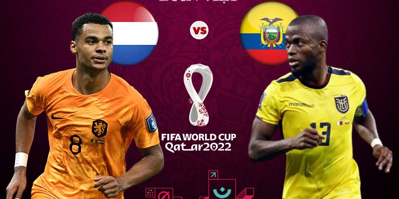 Chia sẻ kinh nghiệm soi kèo Hà Lan và Ecuador cực hiệu quả