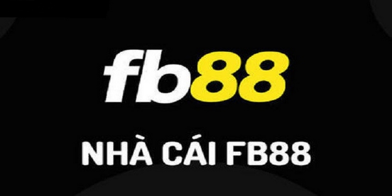 Các nhà cái uy tín hiện nay không thể bỏ qua