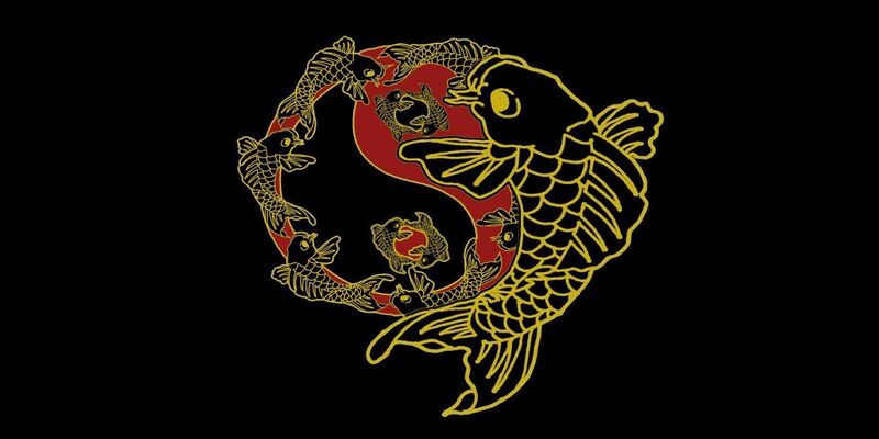 Tổng quan những thông tin về game Cá chép hóa rồng