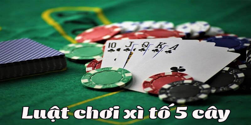 Lời khuyên từ chuyên gia khi tham gia xì tố 5 lá