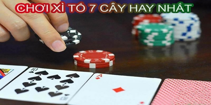 Hướng dẫn chơi xì tố 7 lá