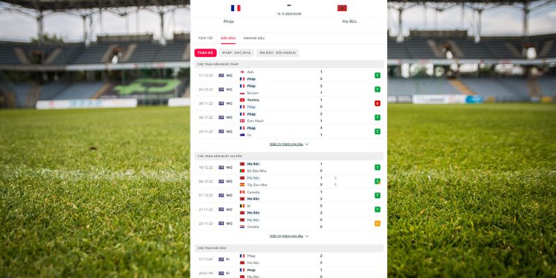 Phong độ thi đấu và thành tích nổi bật của Pháp 