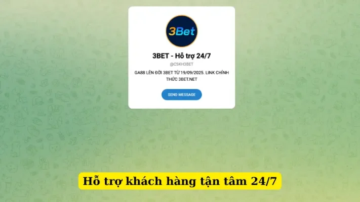 Hỗ trợ khách hàng tận tâm 24/7