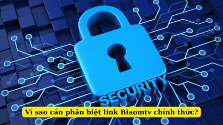 Vì sao cần phân biệt link Biaomtv chính thức?